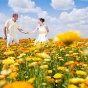 Marriage Counseling in Greenwood Village