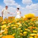 Marriage Counseling in Greenwood Village